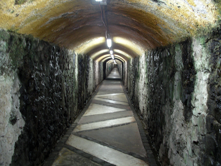 atipica entrada al ascensor Polanco